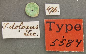 Media type: image;   Entomology 5584 Aspect: labels